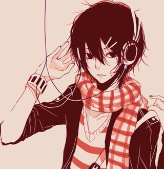 Insp Revo
